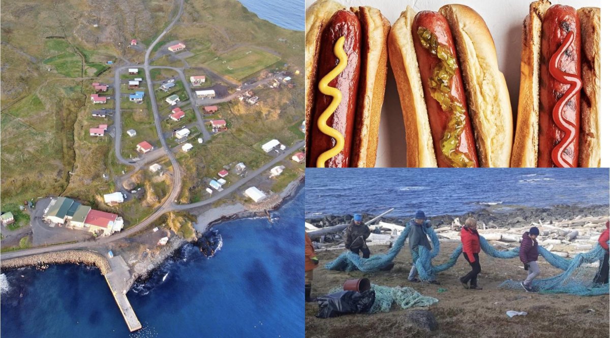 Plokkdagur í Kaldrananeshreppi 