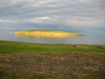 127-4764_IMG